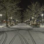 Cleared Road Near Trees and Light Post during Nighttime