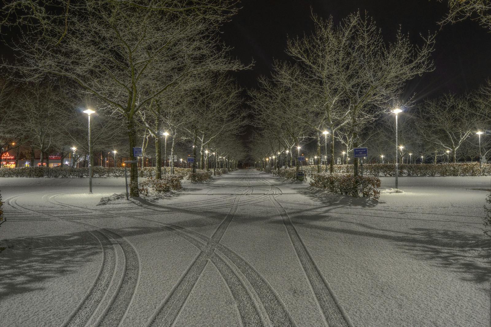 Cleared Road Near Trees and Light Post during Nighttime