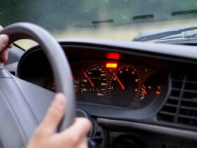 a person holding a steering wheel